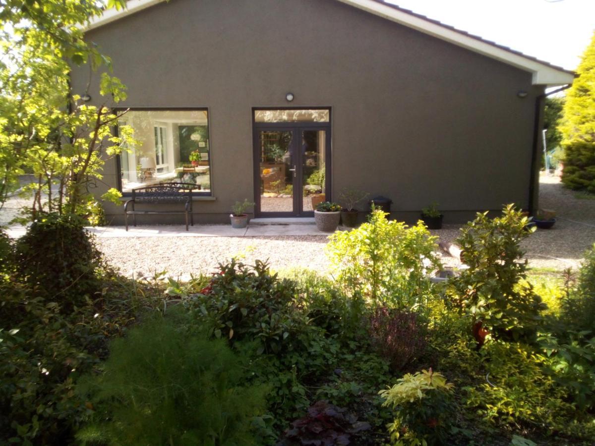 Spacious Contemporary Chalet Type Apartment. 戈尔韦 外观 照片