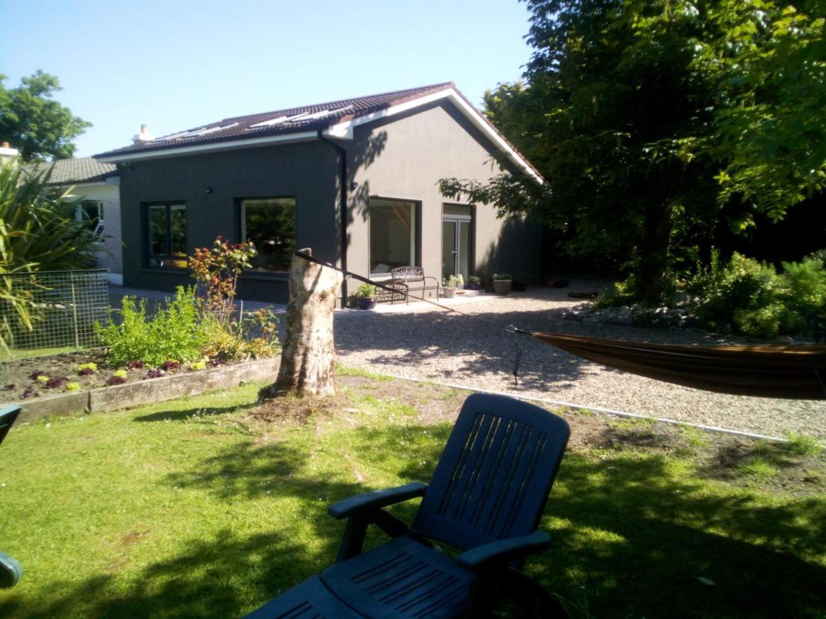 Spacious Contemporary Chalet Type Apartment. 戈尔韦 外观 照片