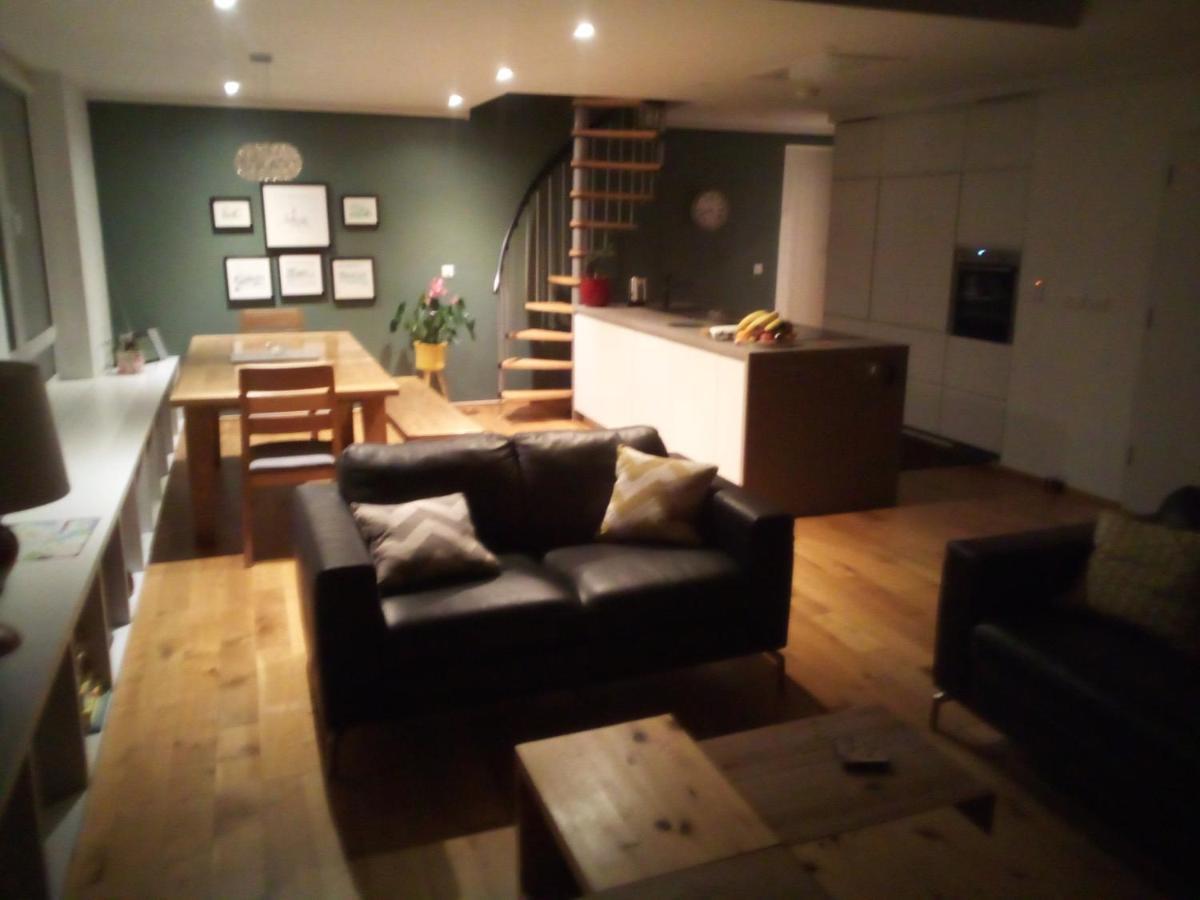 Spacious Contemporary Chalet Type Apartment. 戈尔韦 外观 照片