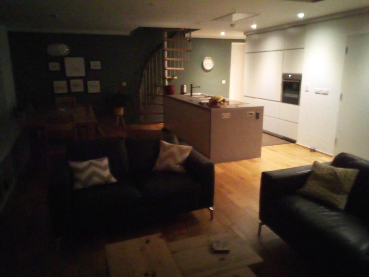 Spacious Contemporary Chalet Type Apartment. 戈尔韦 外观 照片