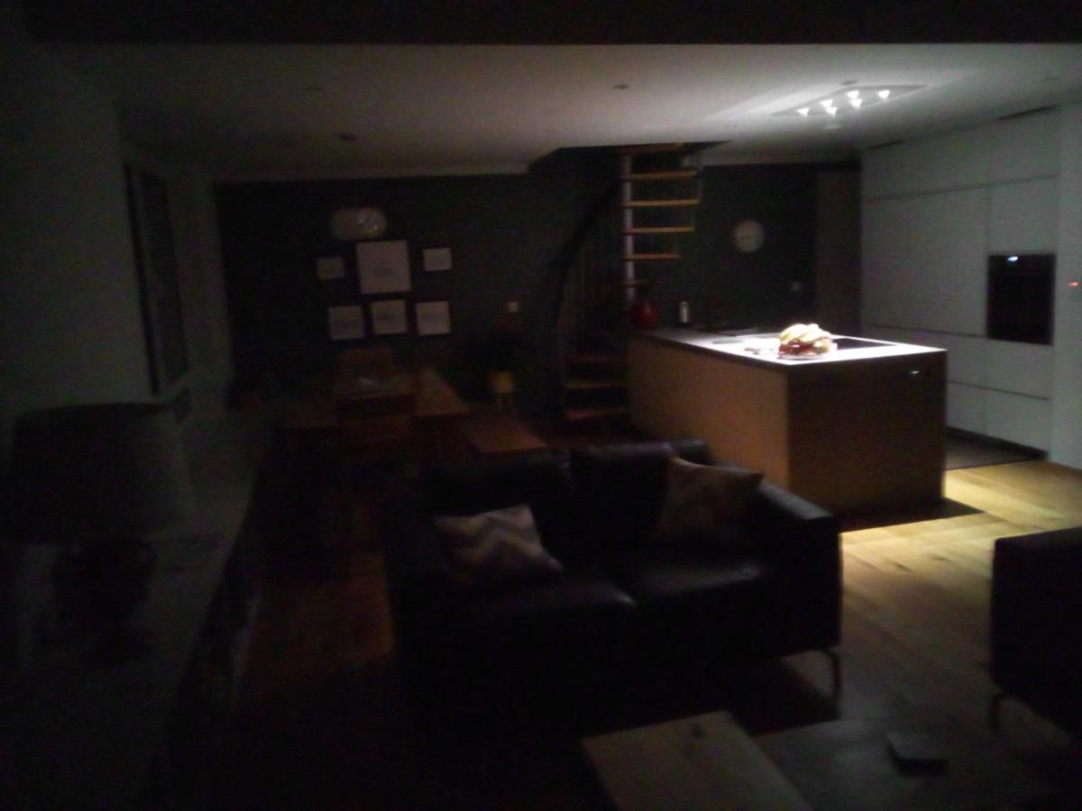 Spacious Contemporary Chalet Type Apartment. 戈尔韦 外观 照片