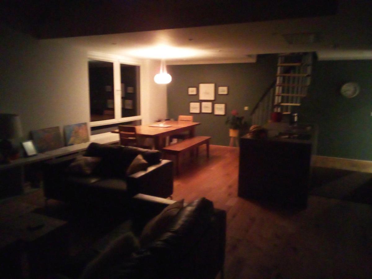 Spacious Contemporary Chalet Type Apartment. 戈尔韦 外观 照片