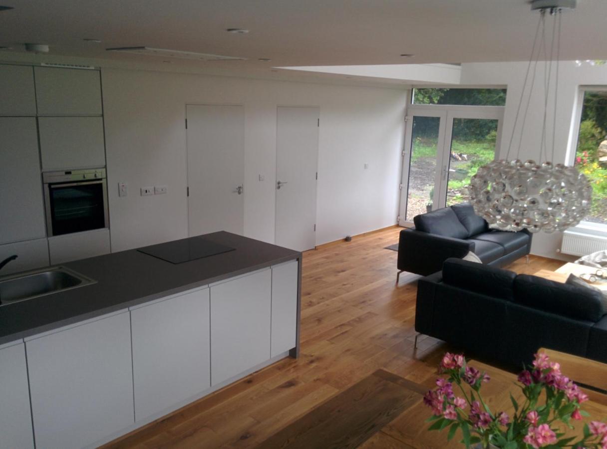 Spacious Contemporary Chalet Type Apartment. 戈尔韦 外观 照片